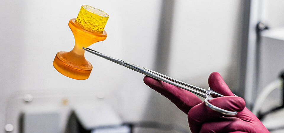 Freshly 3D-bioprinted tissue implant being retrieved from the biofabrication system. Freshly 3D-bioprinted tissue implant being retrieved from the biofabrication system.