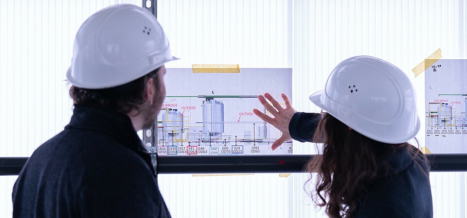 Ucaneo plant buildup
