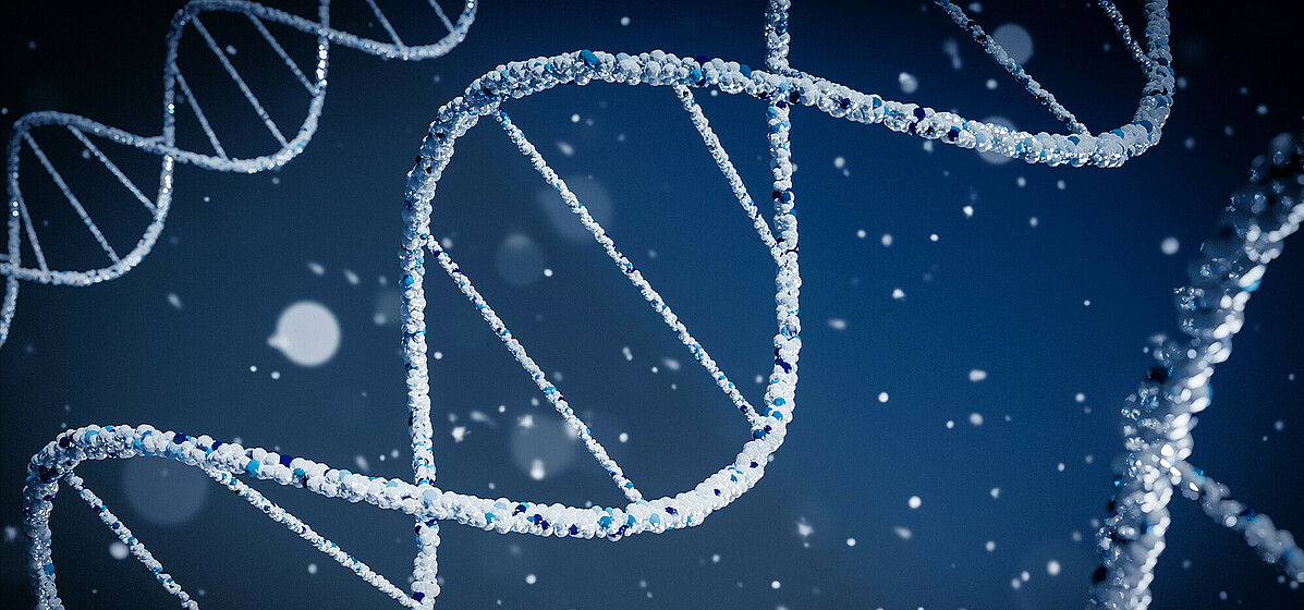 The company T-knife enhances so-called T cells to ‘teach’ the immune system to recognise the tell-tale signs of viral infection or cancer.