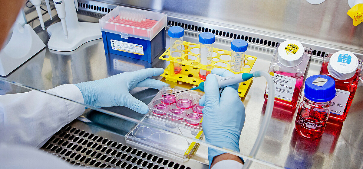 Health research, business and practice is all big in Berlin The healthcare industry is thriving in Berlin-Brandenburg.