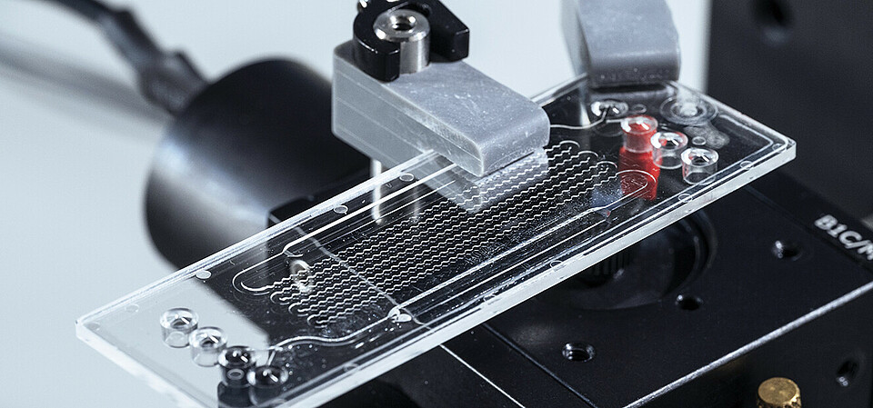 Close-up of the microfluidic chip of the sensor system