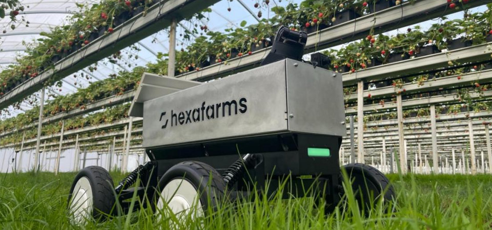 hexafarms robot
