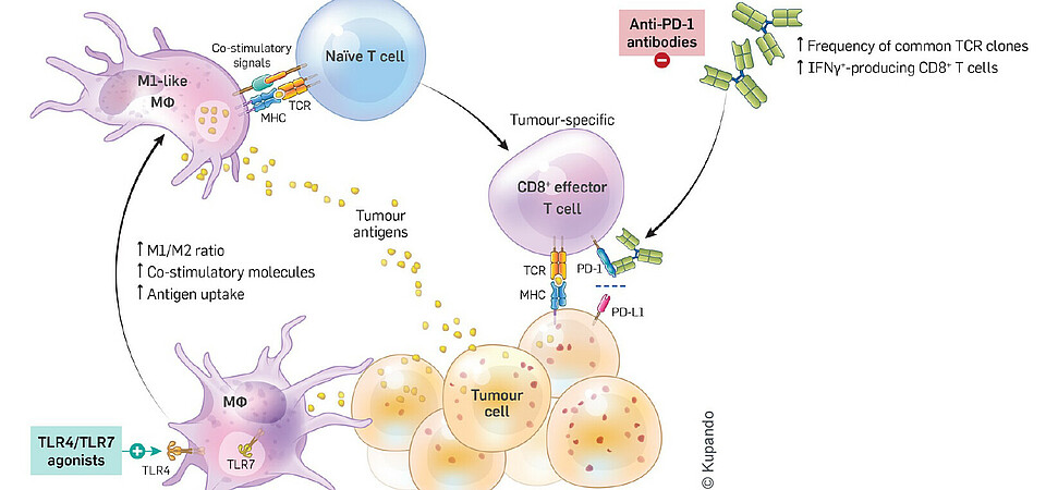 Kupando therapeutic approach