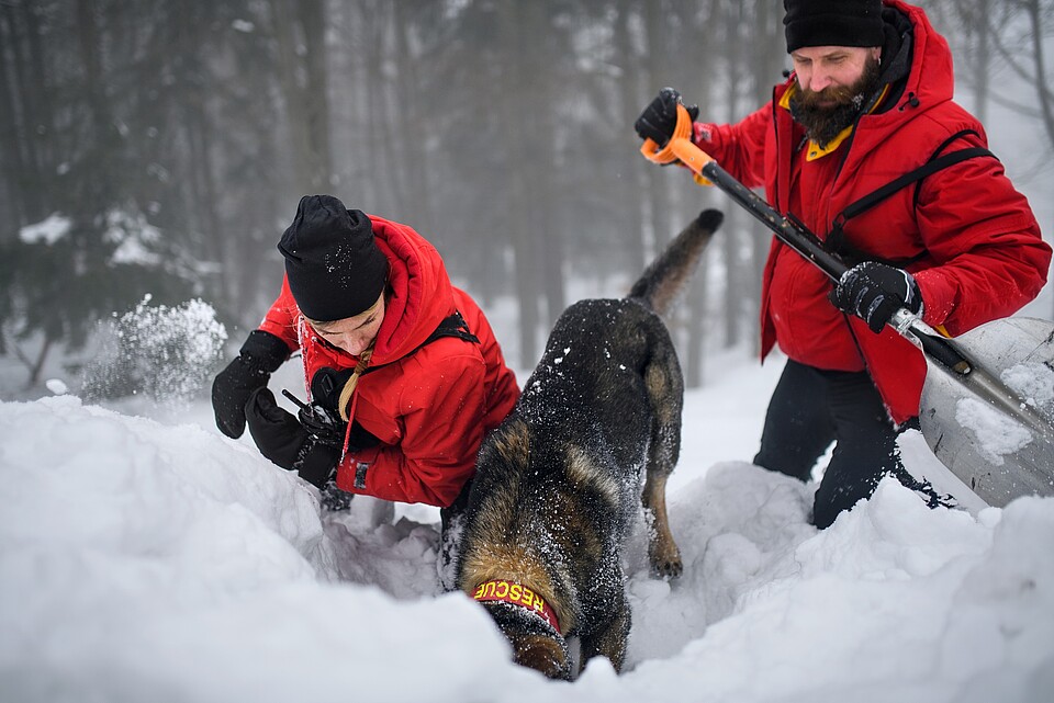 Global Initiative on Resilience to Natural Hazards Through AI Solutions