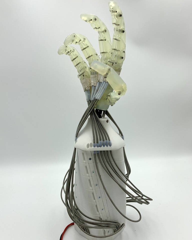 Capandji Hand has been created by Capandji